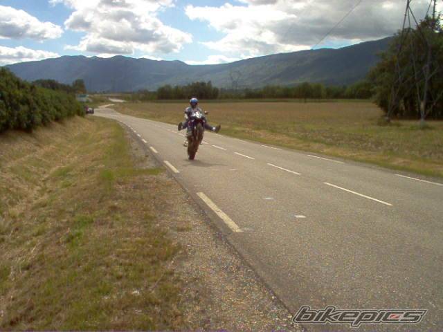 Photo 195814