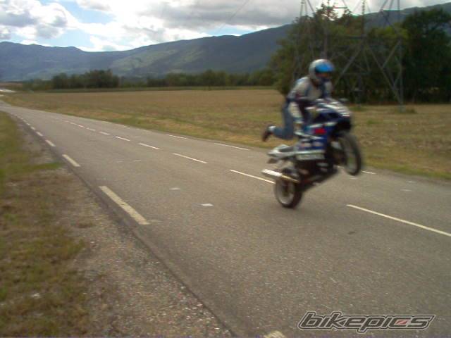 Photo 195815