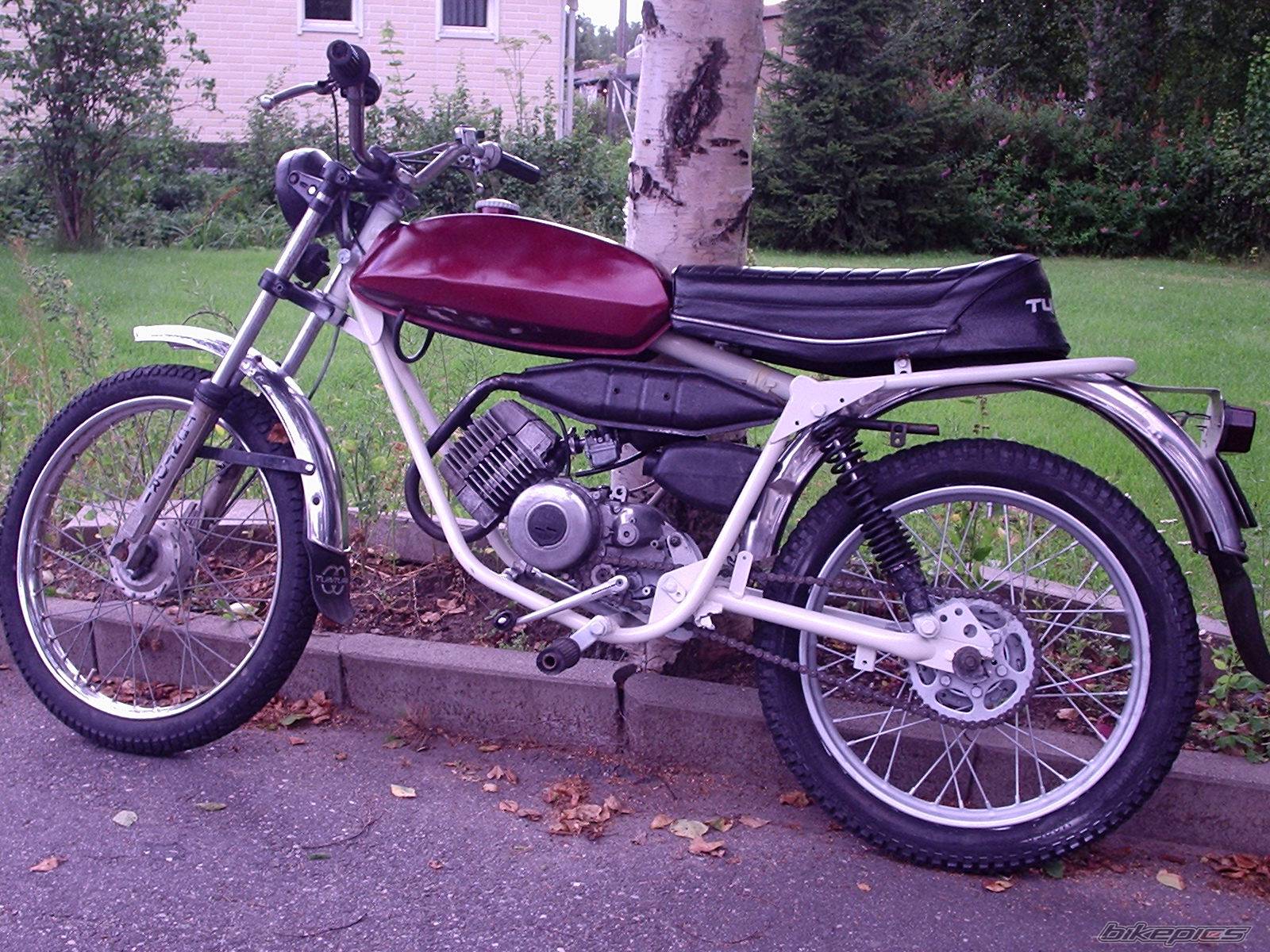 Photo 195816