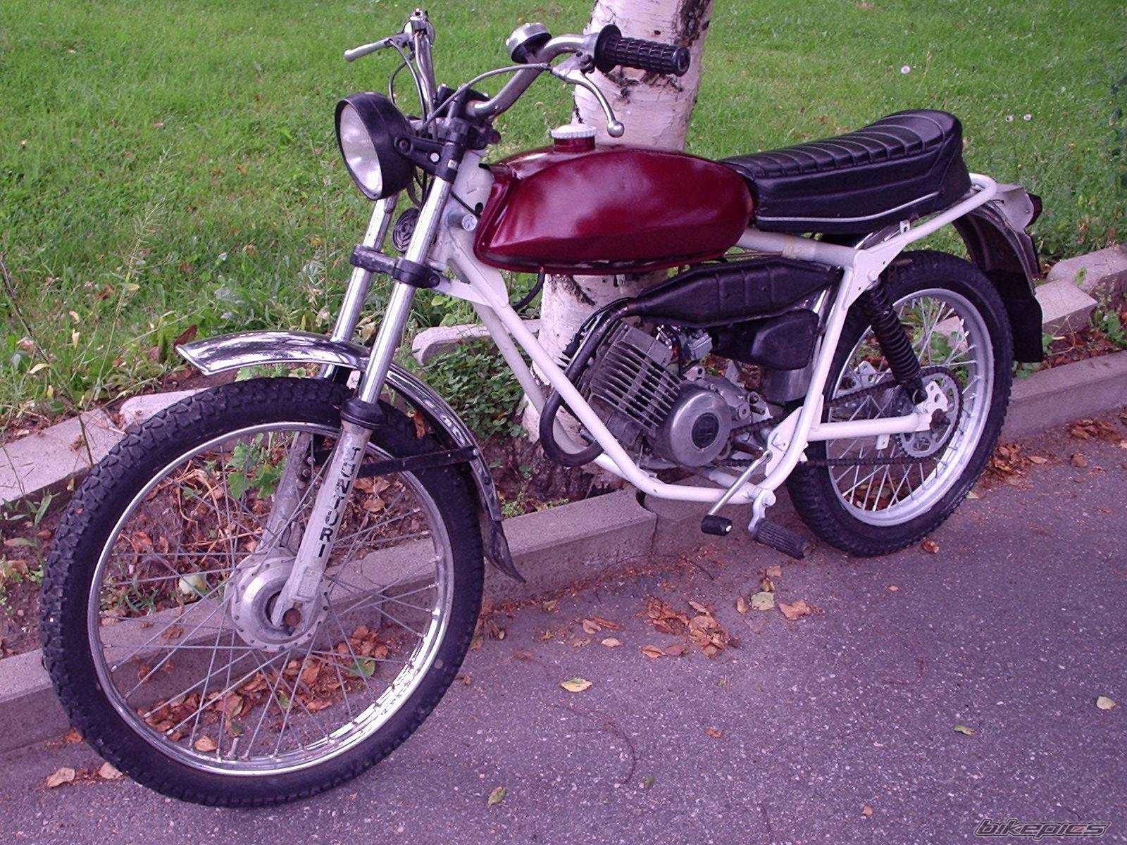 Photo 195817