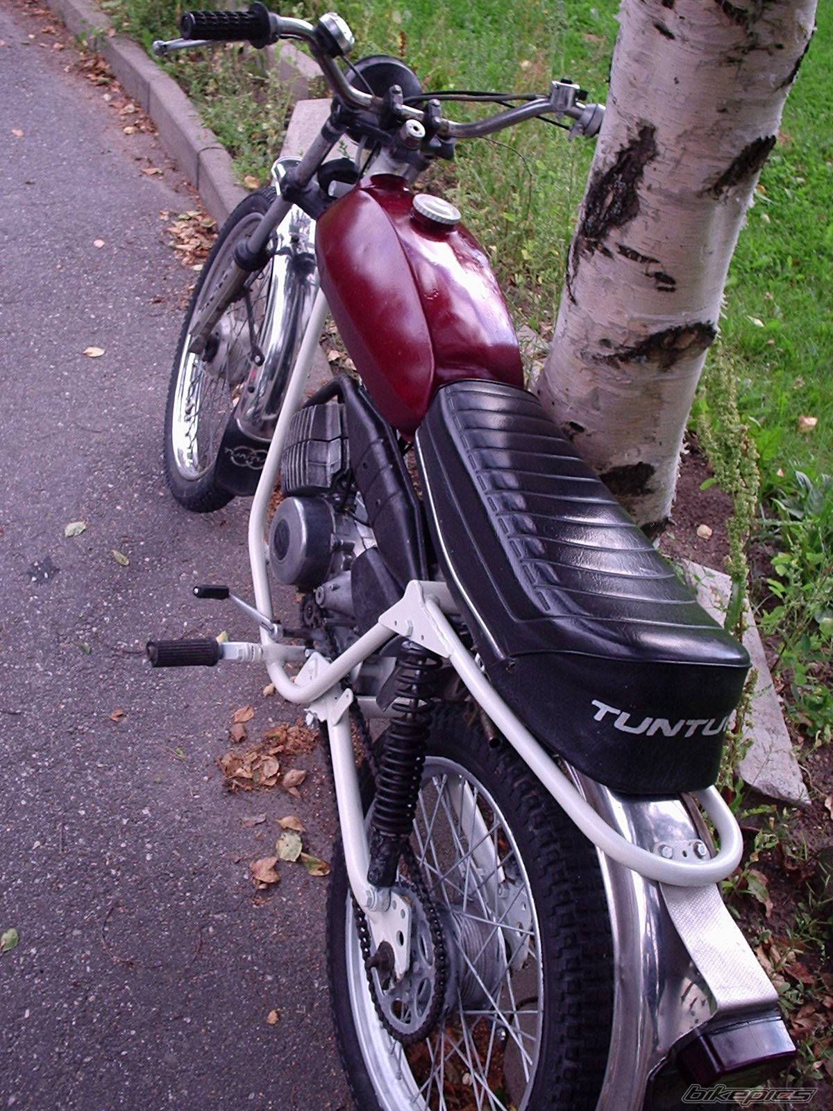 Photo 195818