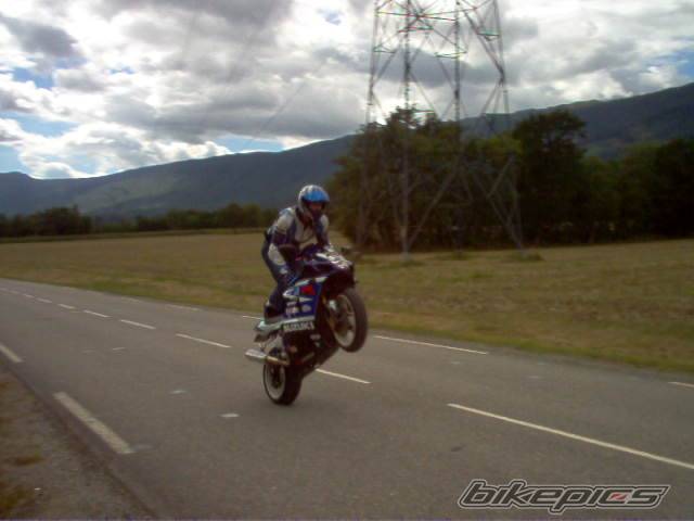 Photo 195819