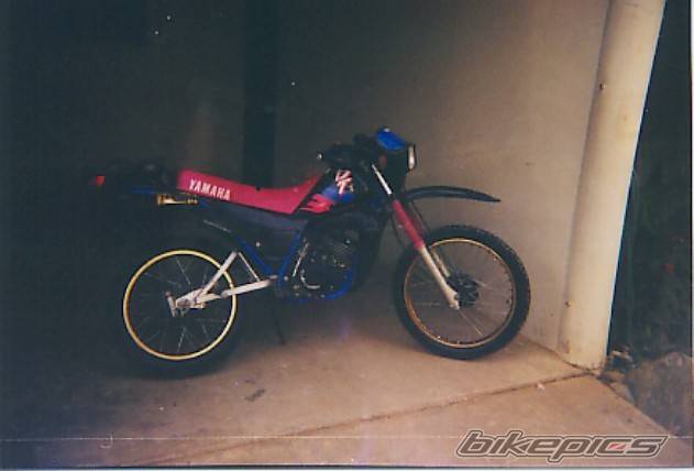 Photo 19582