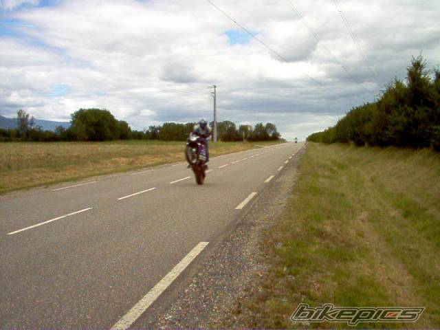 Photo 195822
