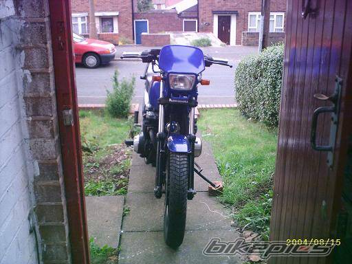 Photo 195828