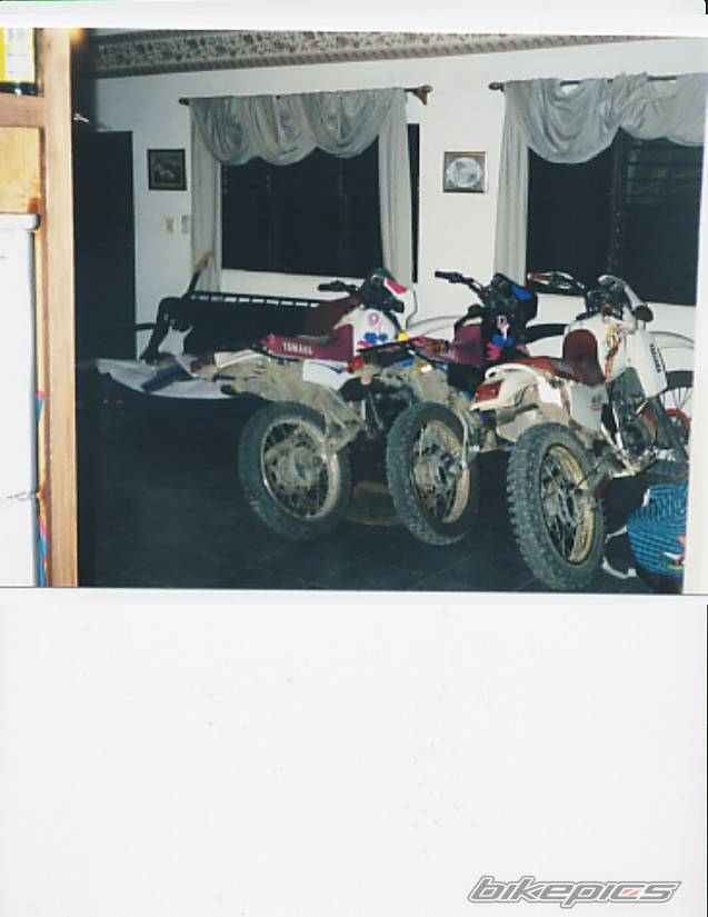 Photo 19583