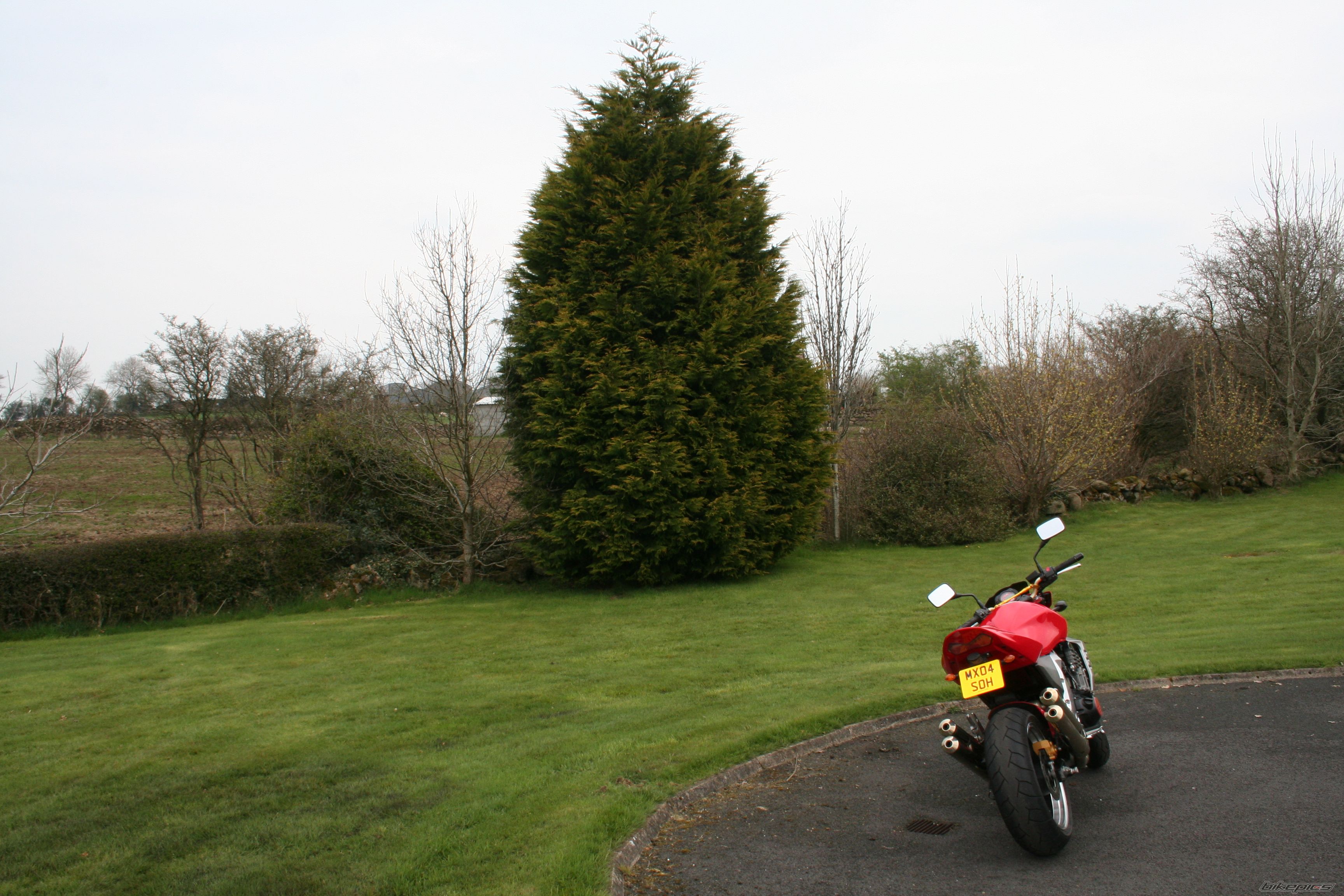 Bike Photo 1958384