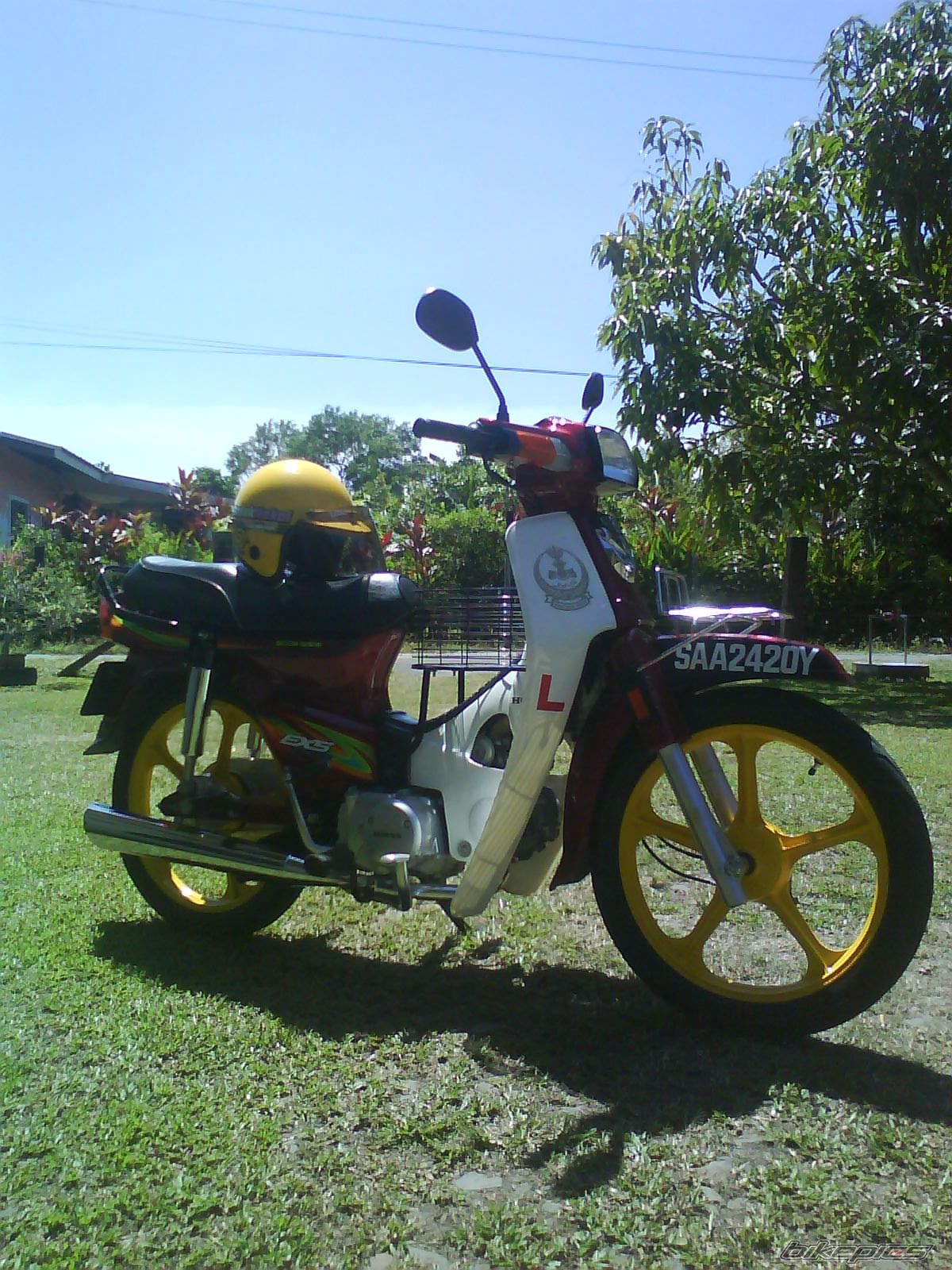 Photo 1958554