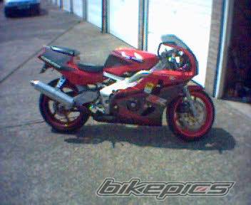 Photo 195882