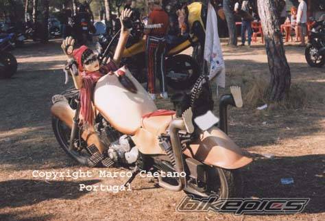 Photo 195884