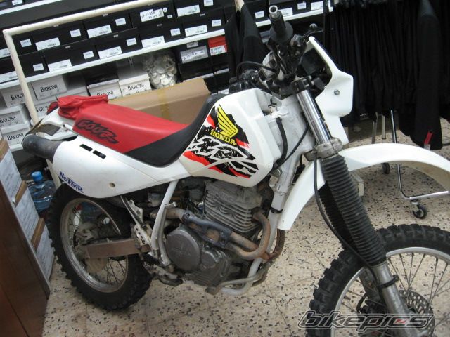Bike Photo 1959268