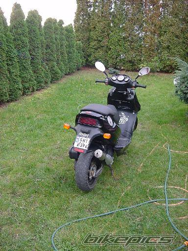 Photo 195927