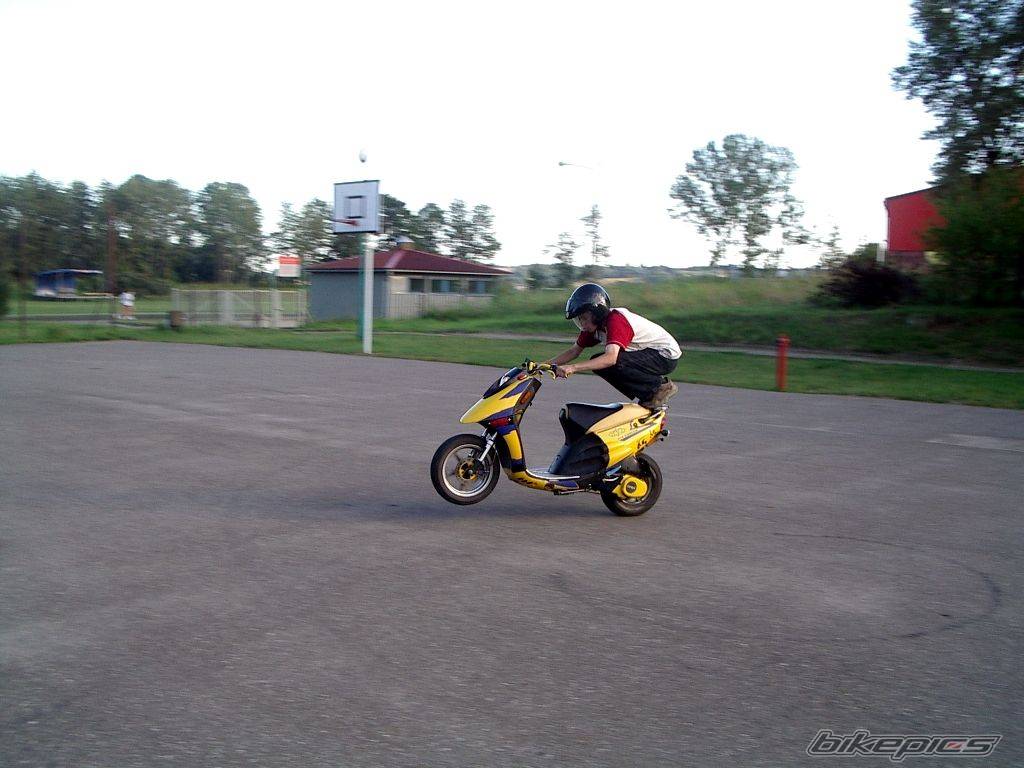 Photo 195929
