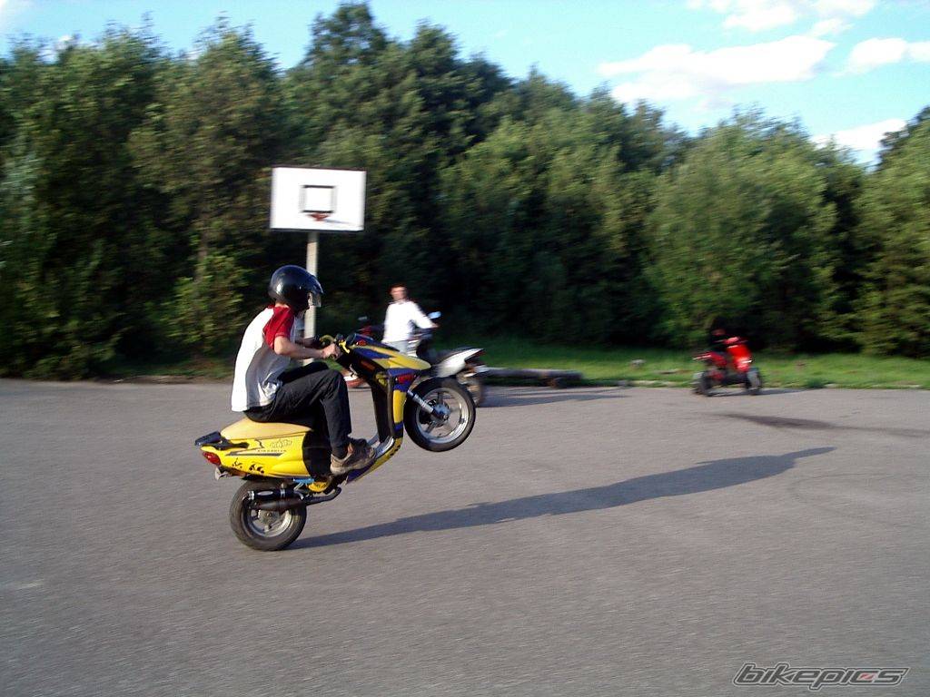 Photo 195944