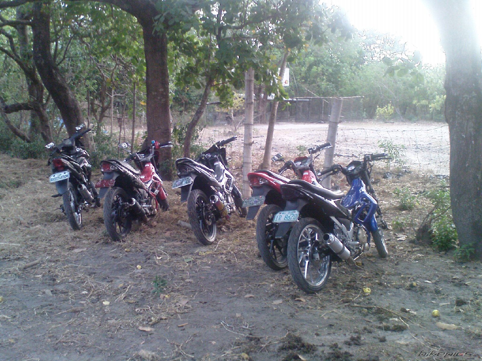 Photo 1959933