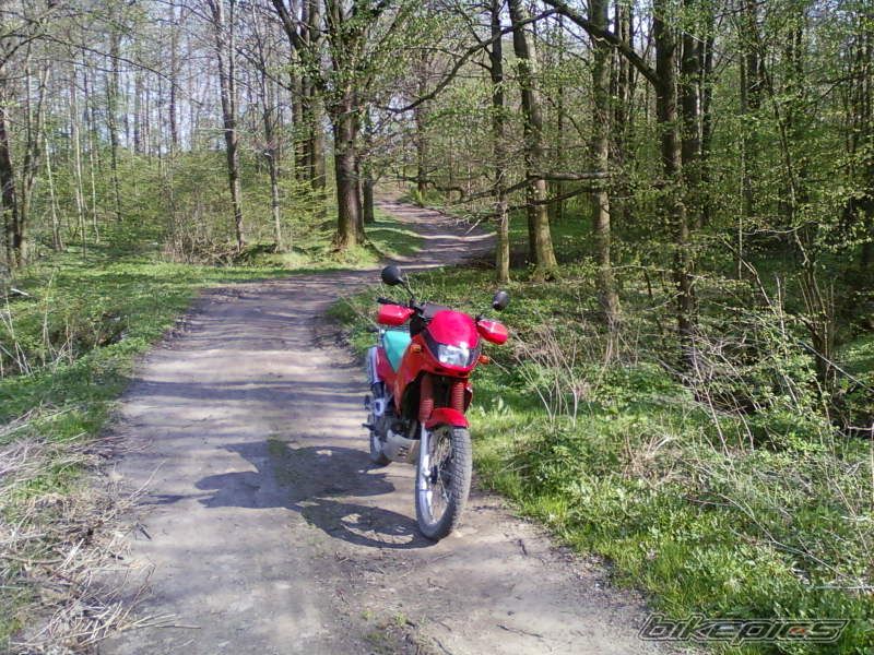 Photo 1960021