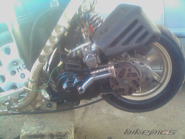 Photo 1960471