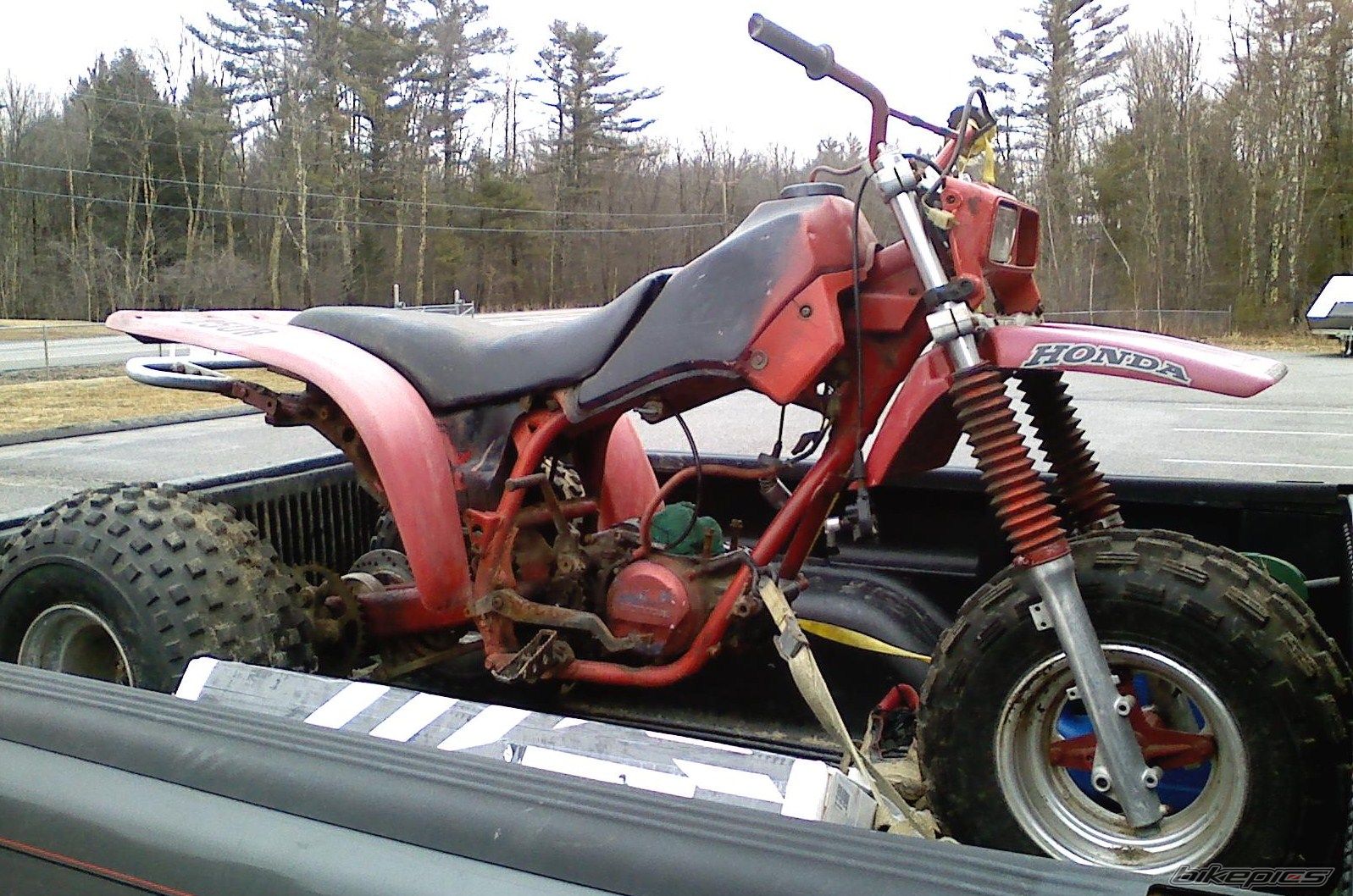 Photo 1960485