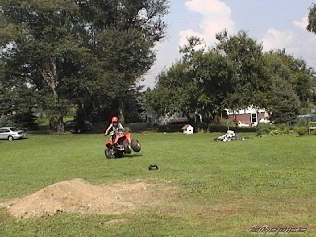 Photo 196055