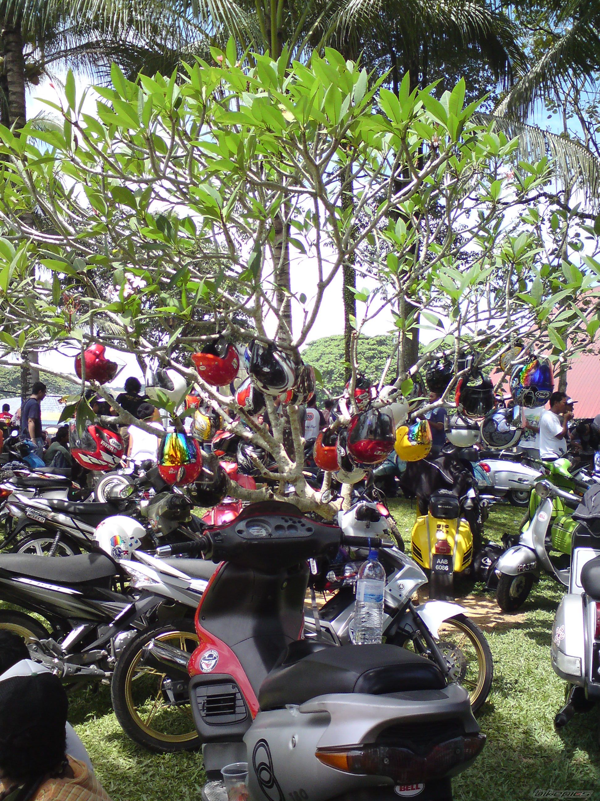 Photo 1960576