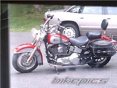 Photo 196080