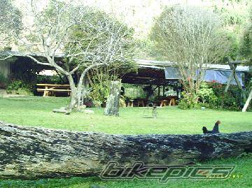 Photo 196086