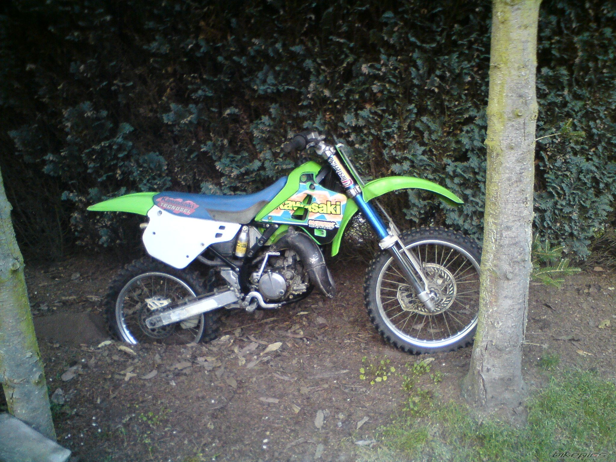 Photo 1961073
