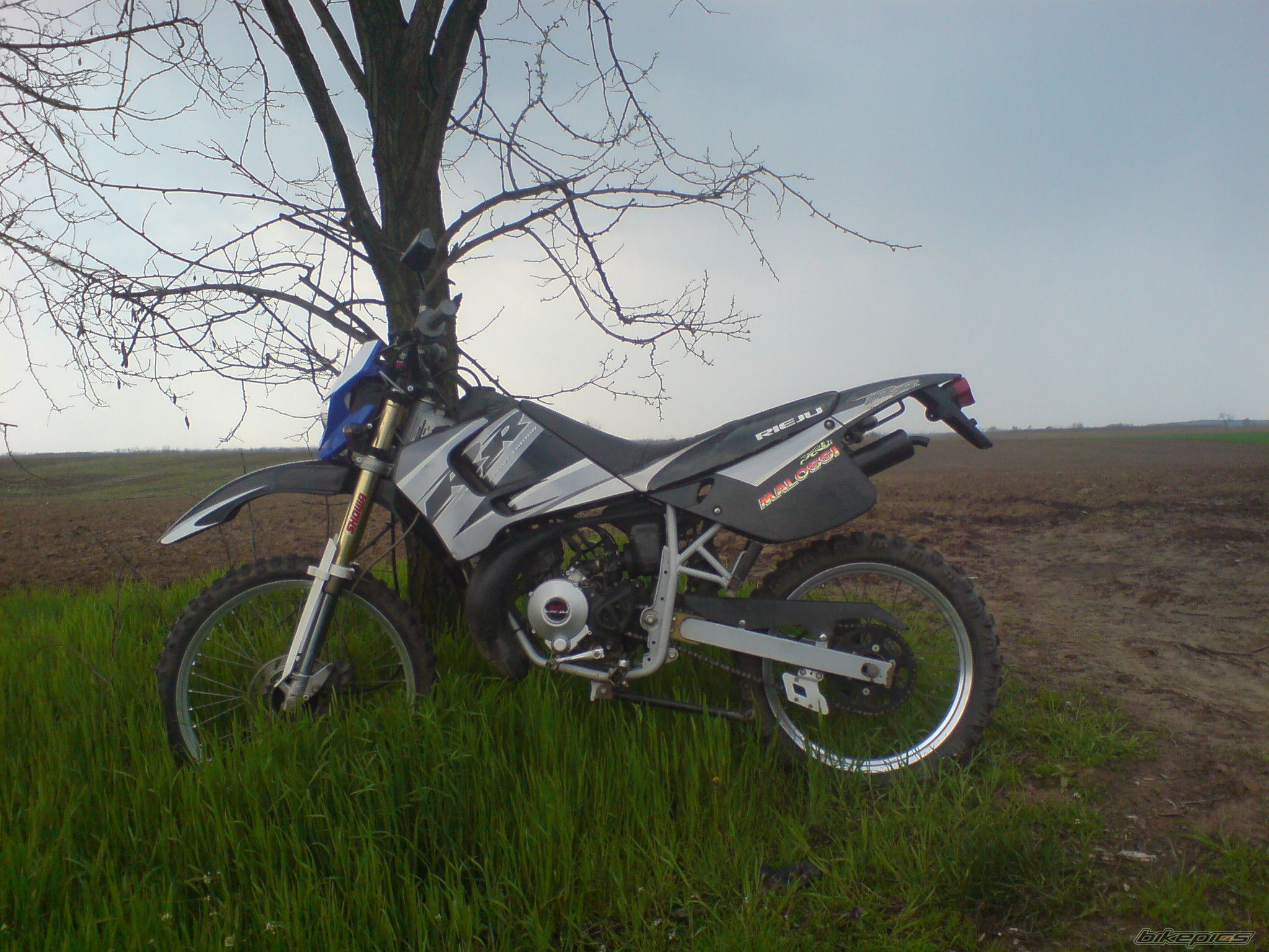 Bike Photo 1961196
