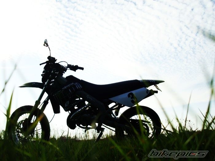 Photo 1961202