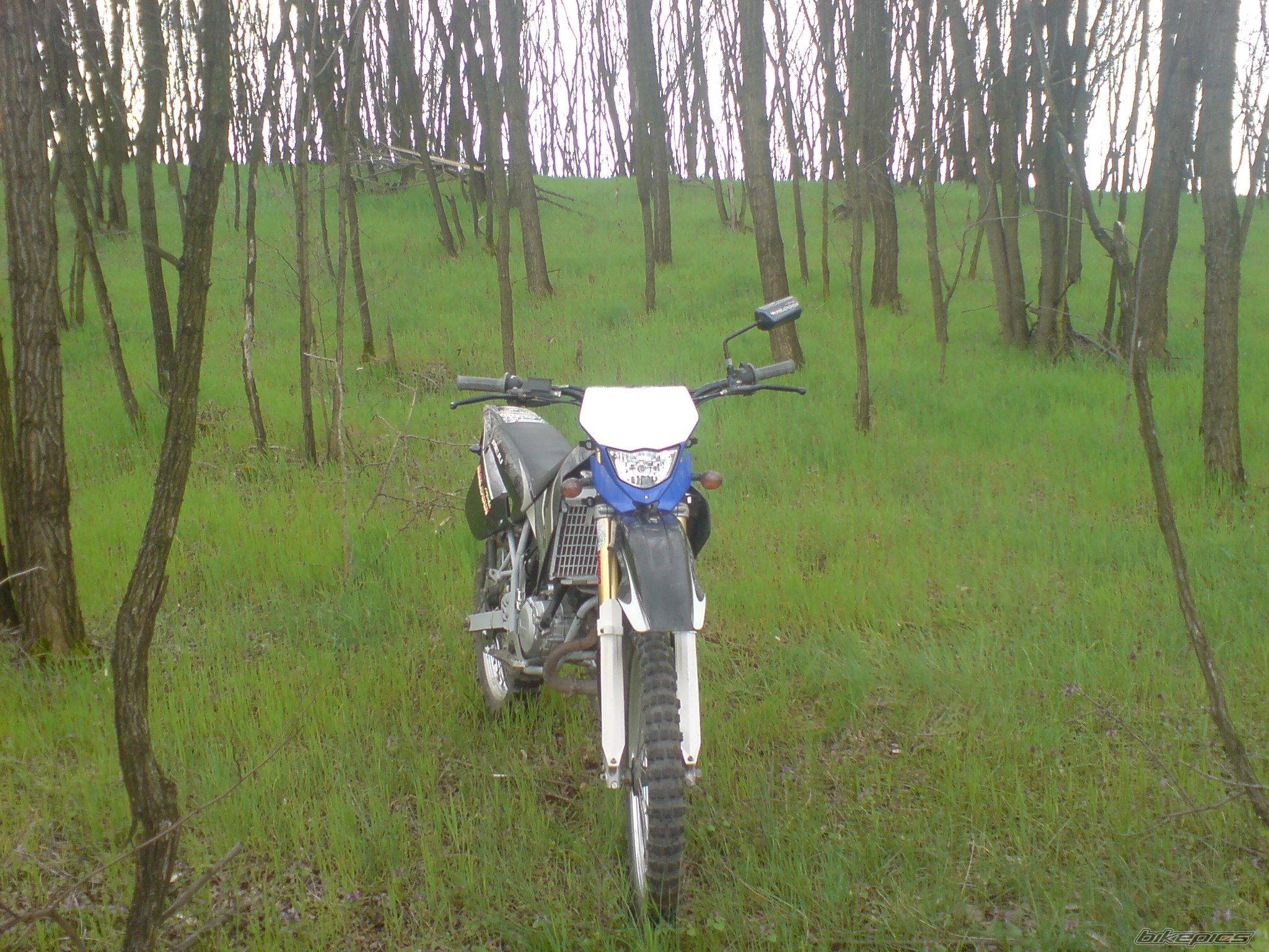 Bike Photo 1961203