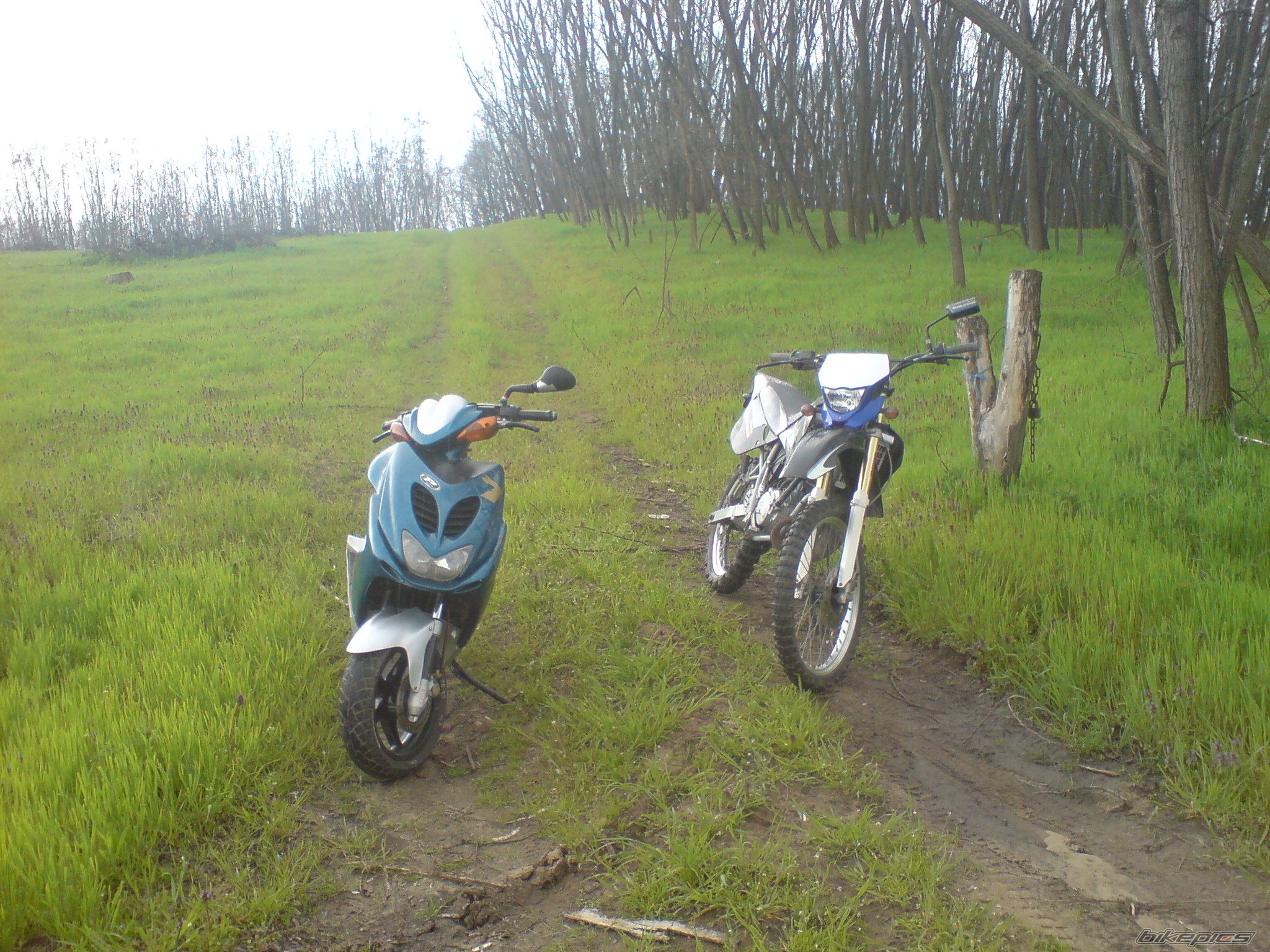 Bike Photo 1961211