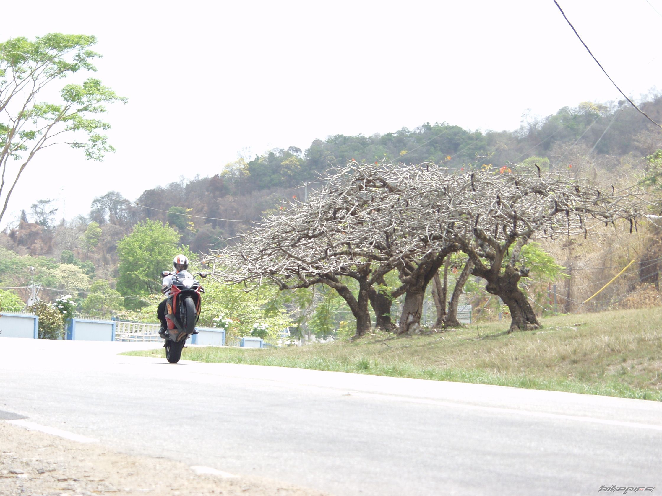 Bike Photo 1961253