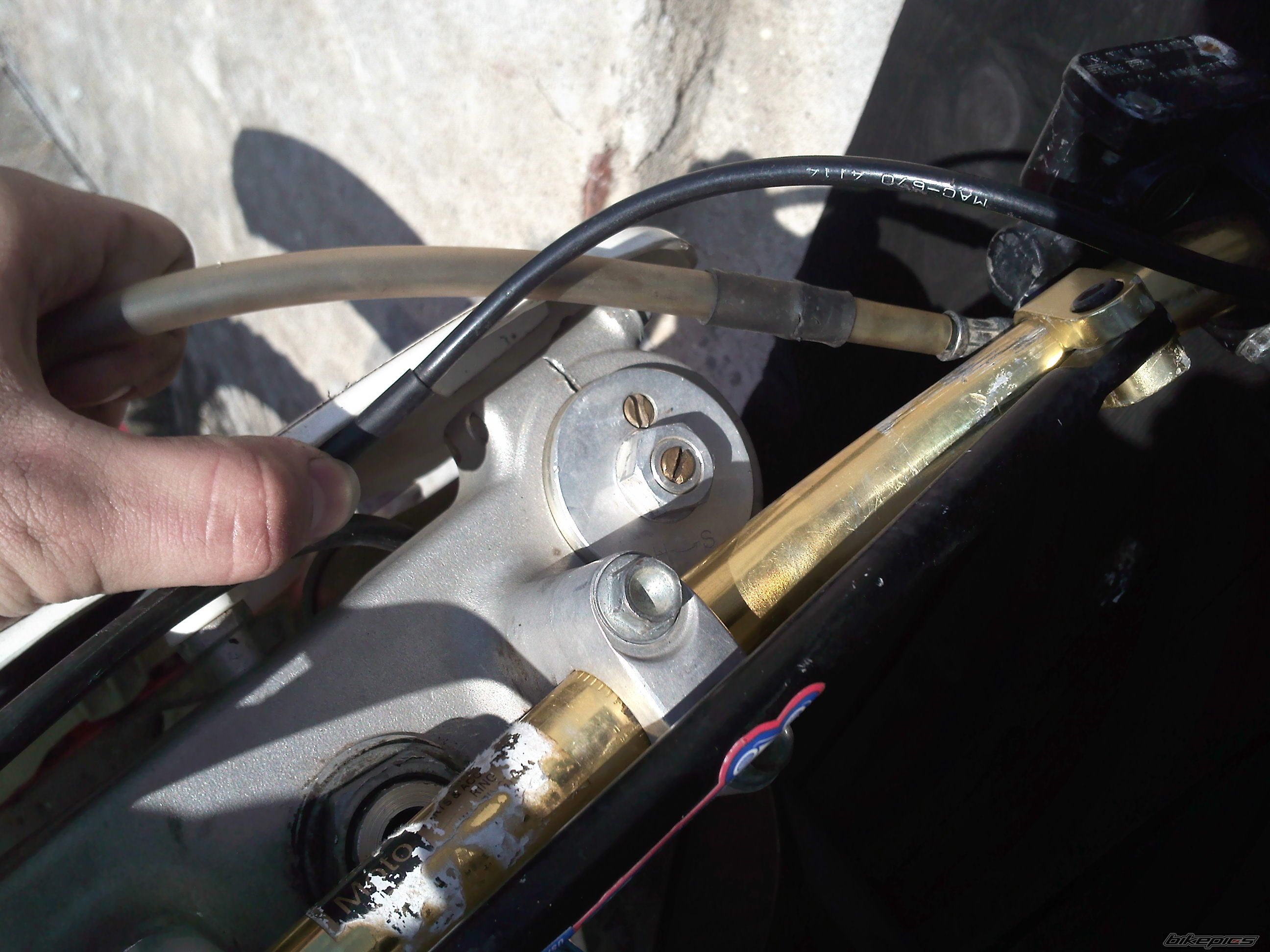 Bike Photo 1961264