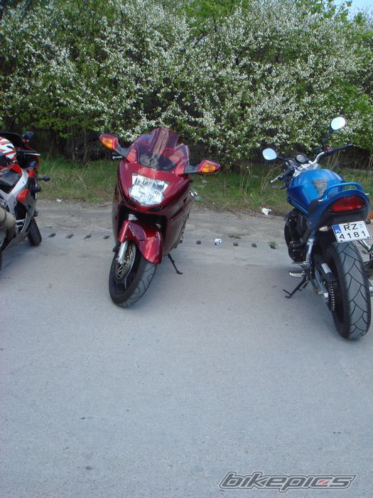 Photo 1961469
