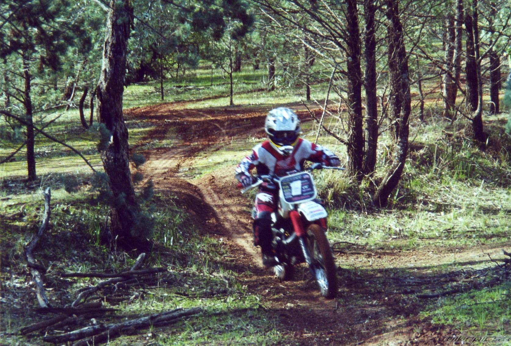 Photo 196177