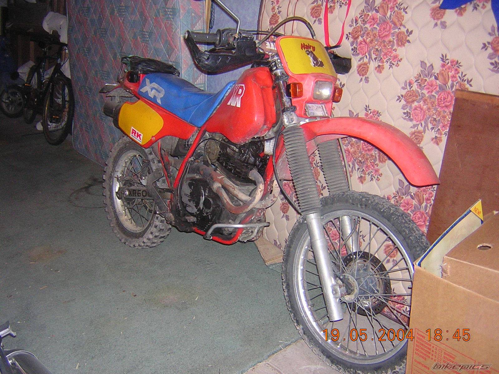Photo 196181