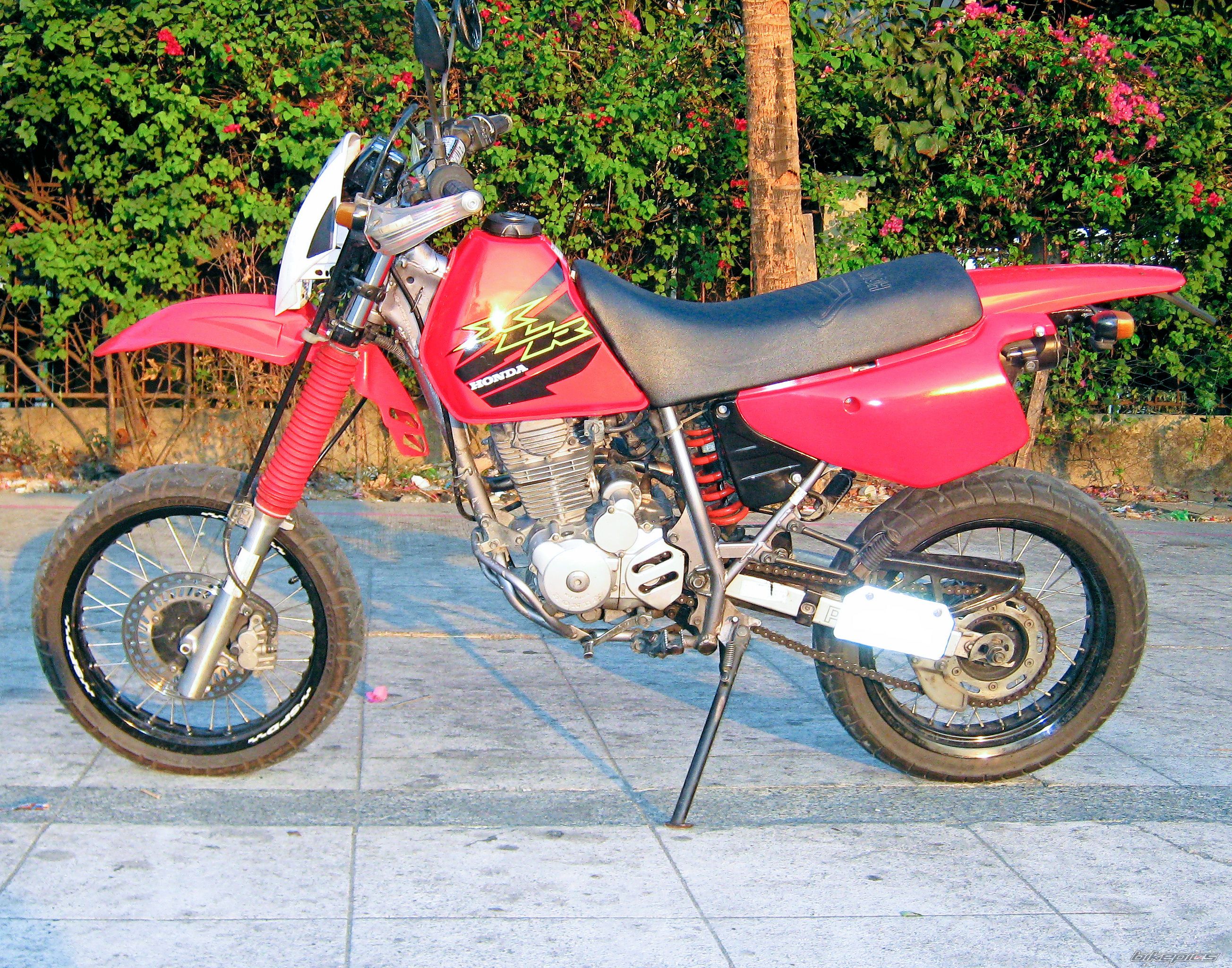 Bike Photo 1961816