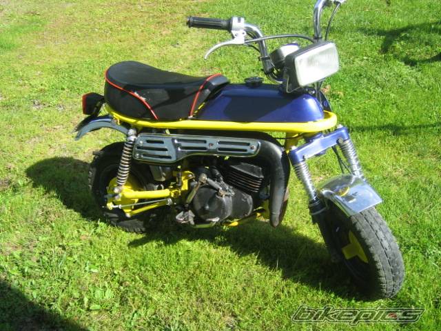 Photo 196182