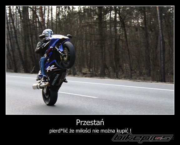 Bike Photo 1962321