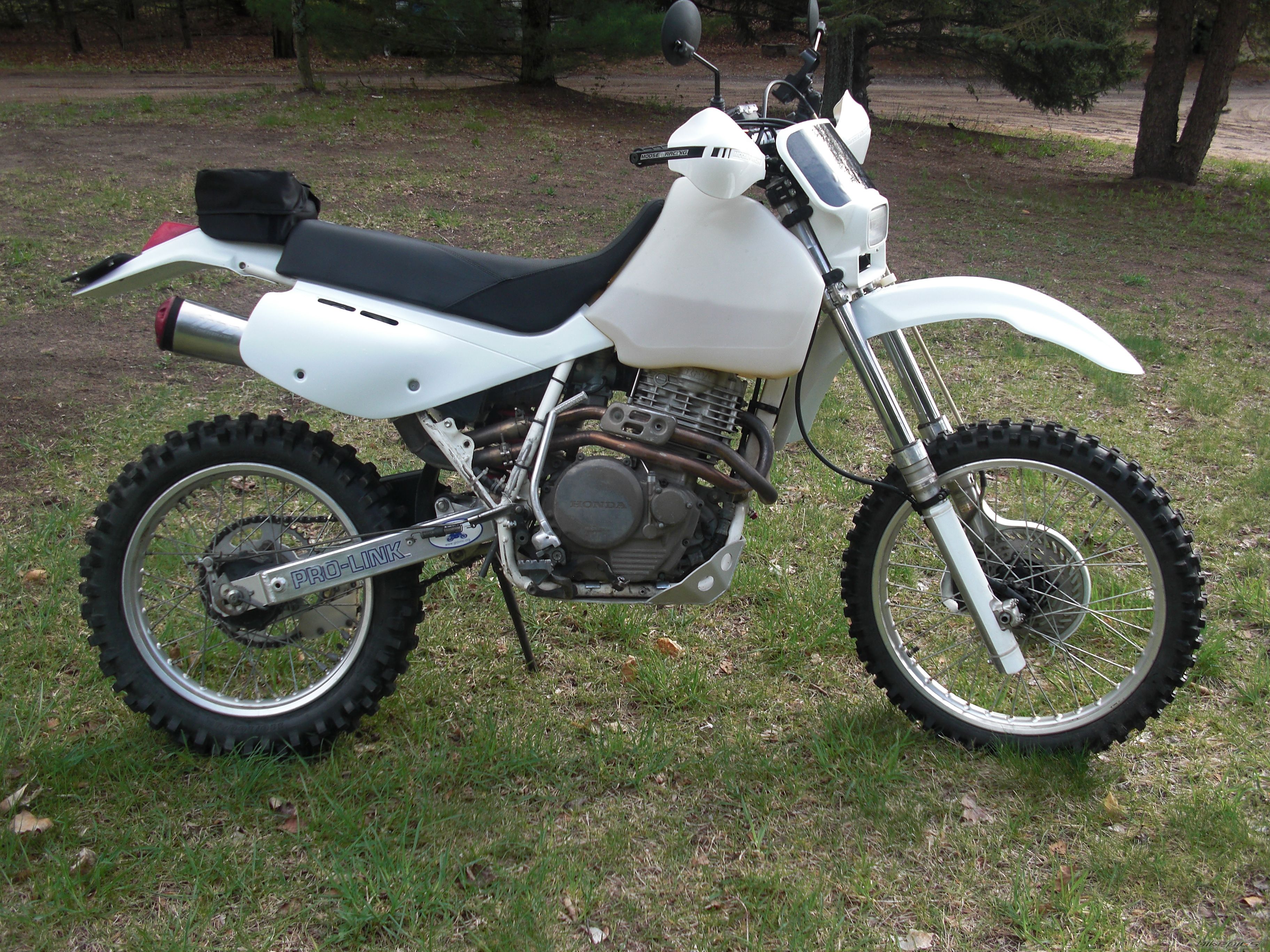 Photo 1962374