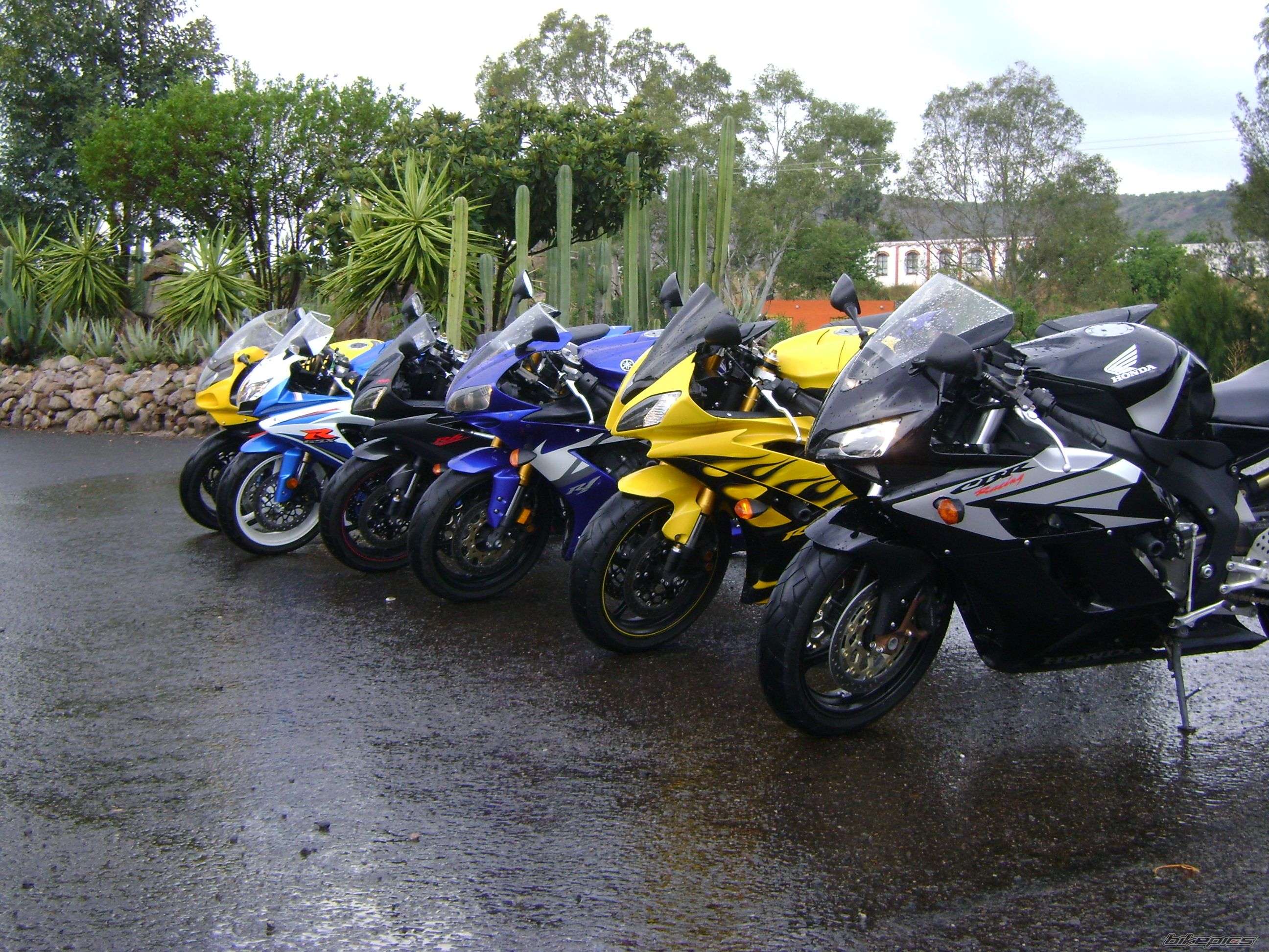 Photo 1962477