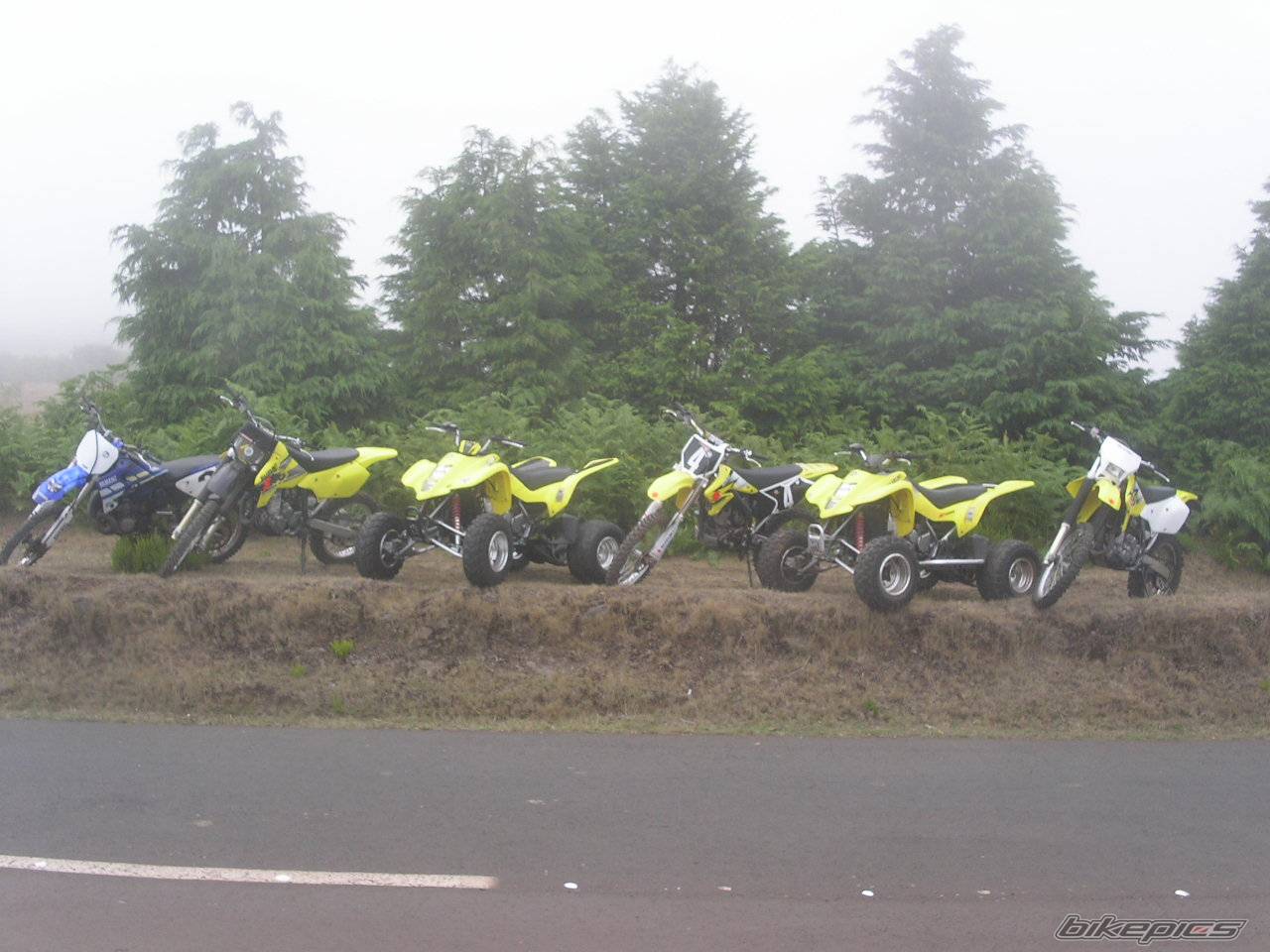 Bike Photo 196277