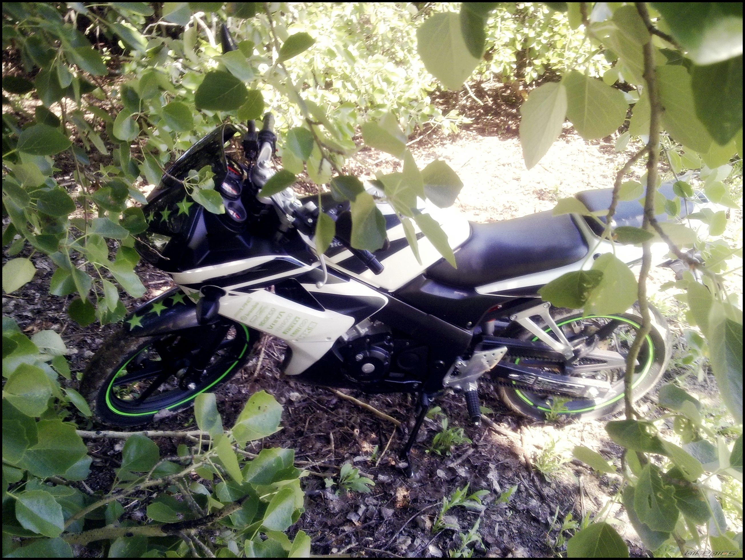 Bike Photo 1963015