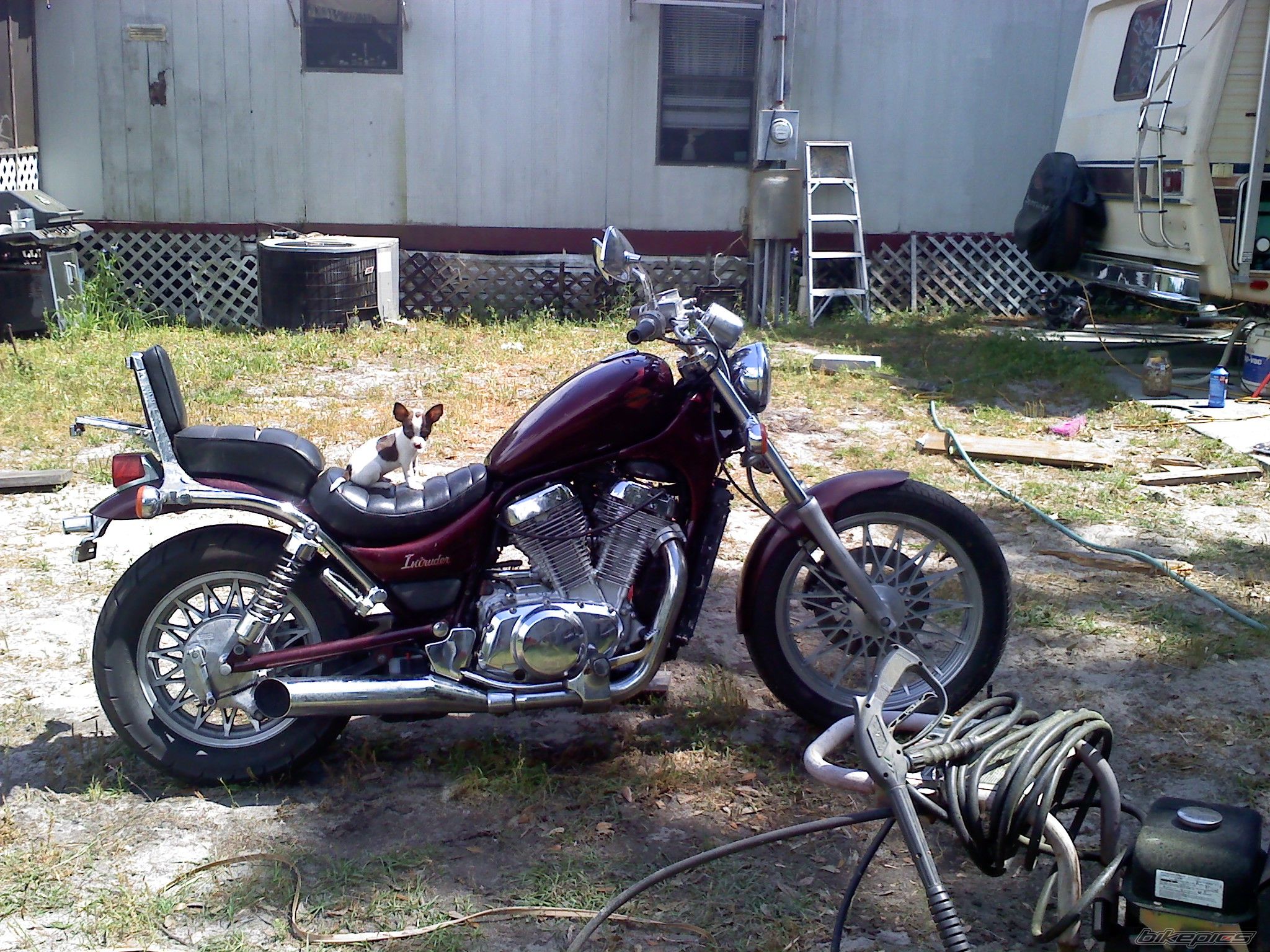Photo 1963295