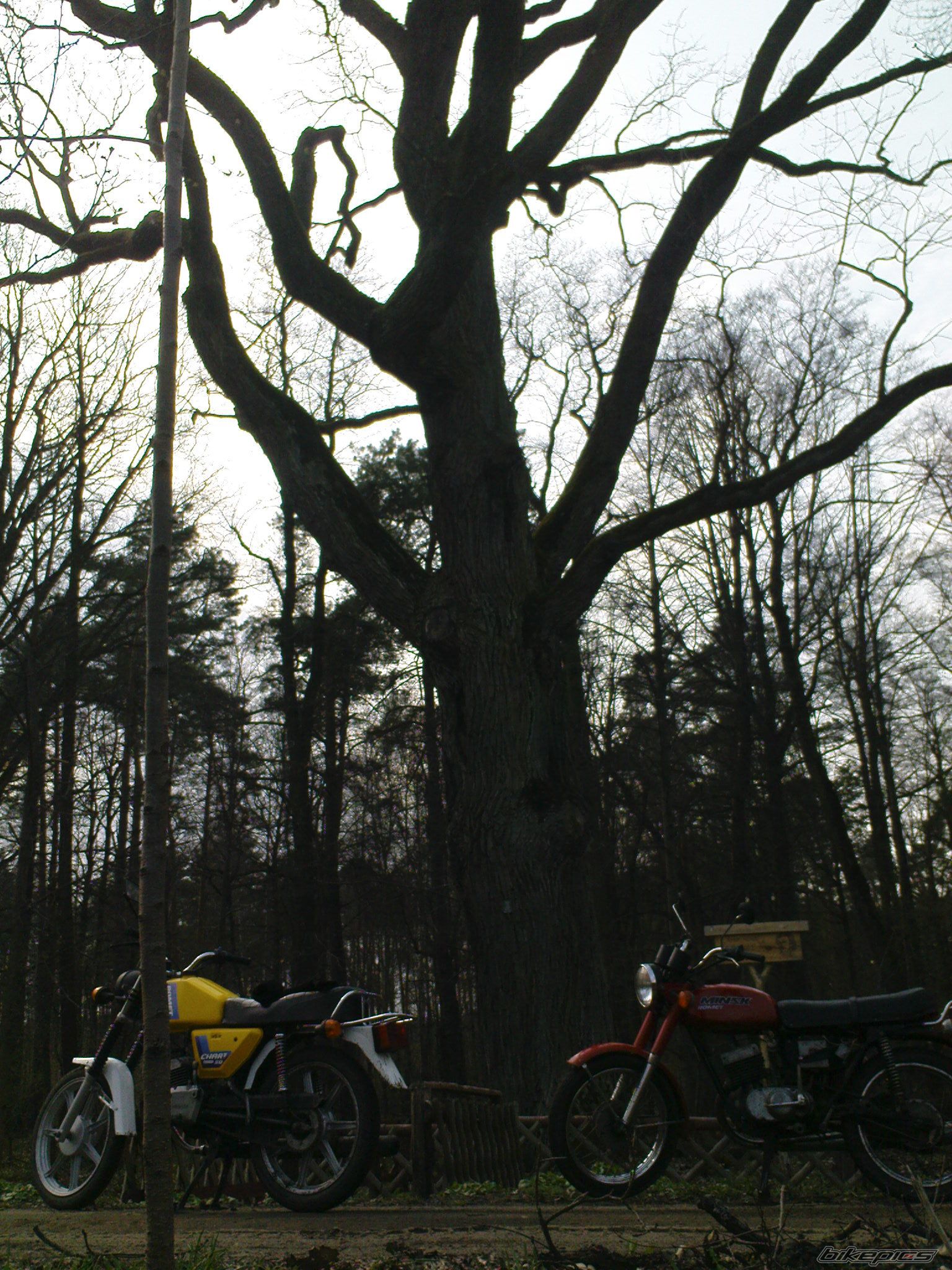 Bike Photo 1963335