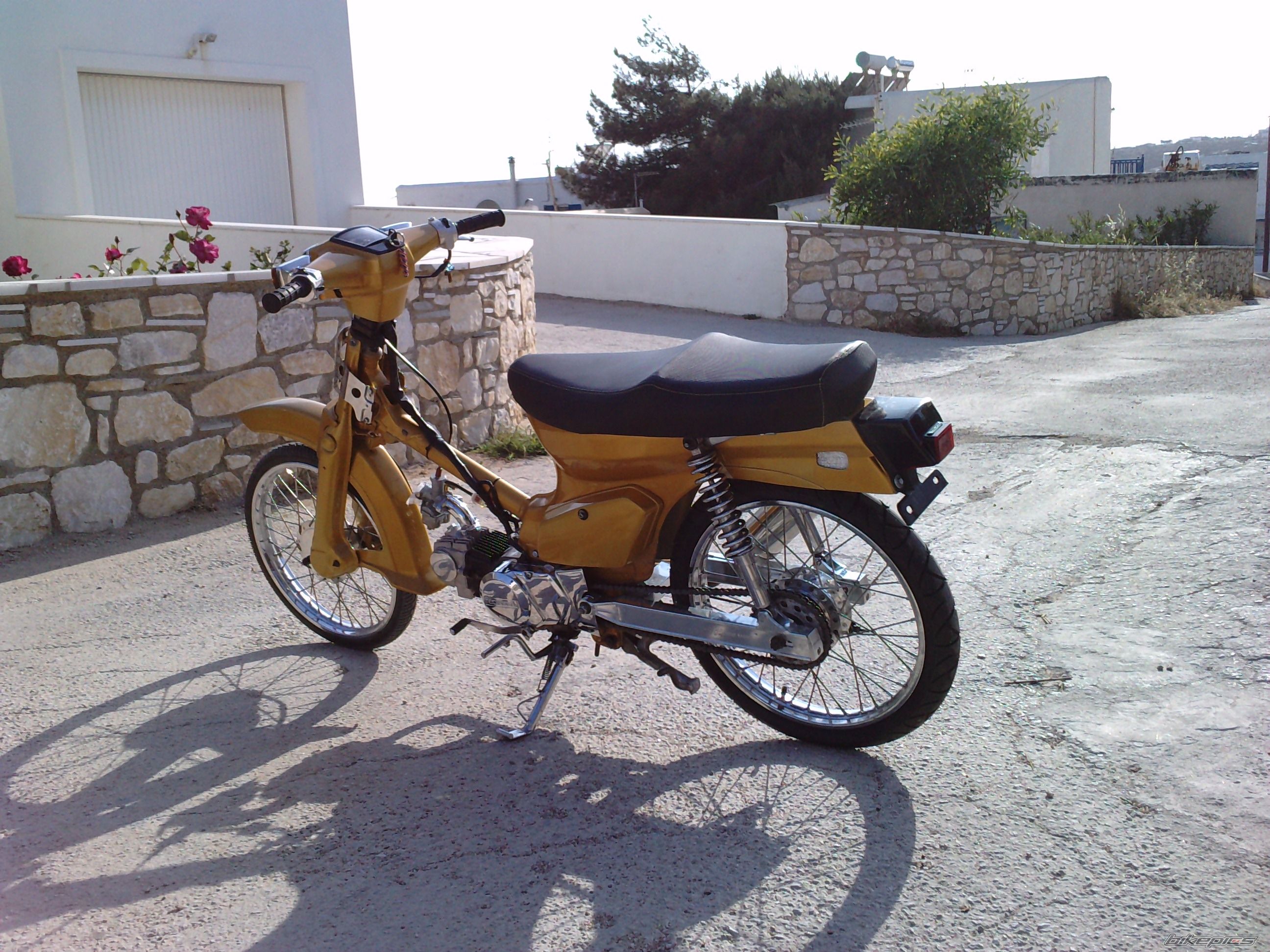 Photo 1963544
