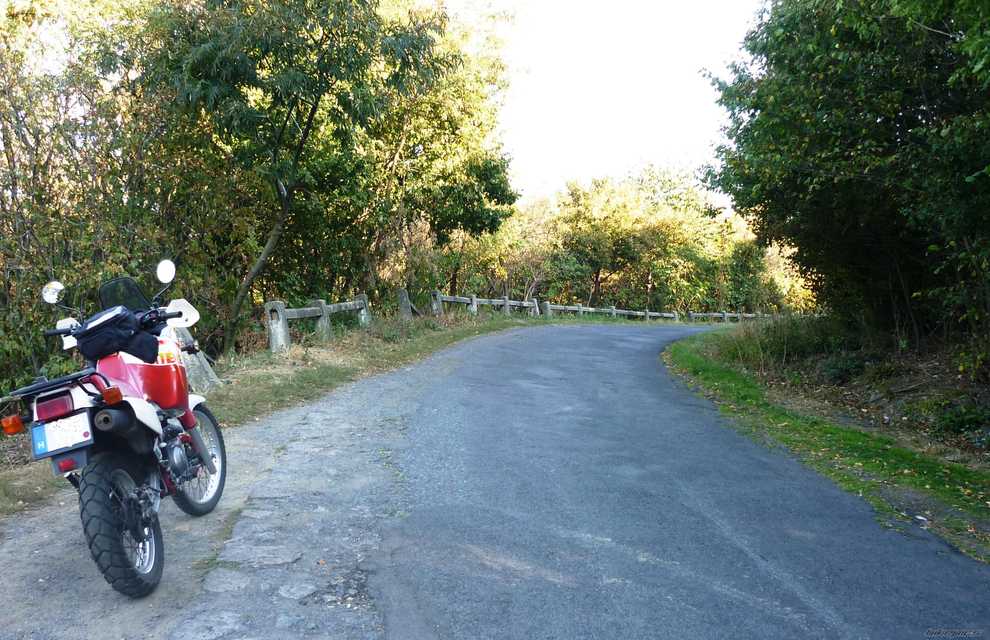 Bike Photo 1963696