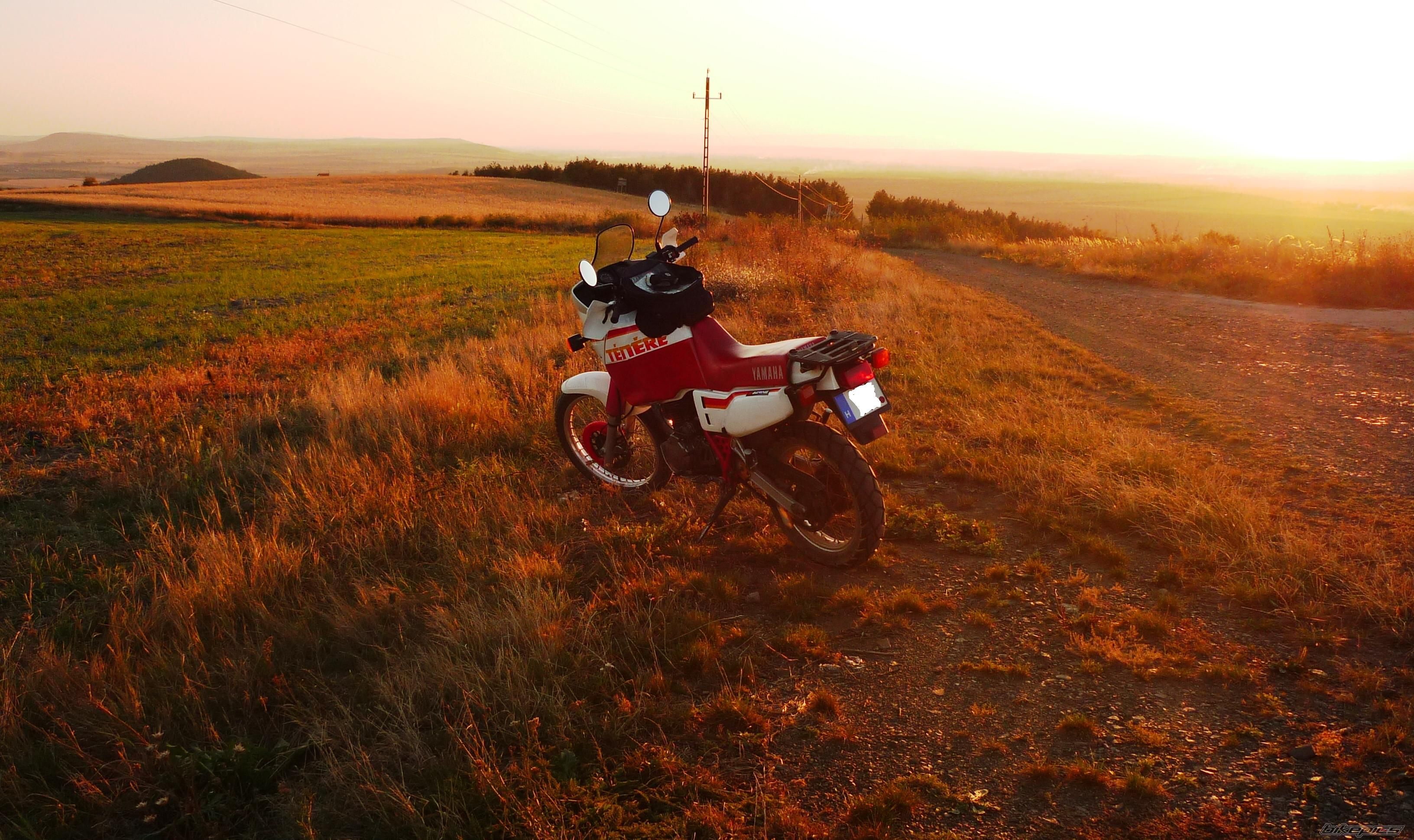 Bike Photo 1963706
