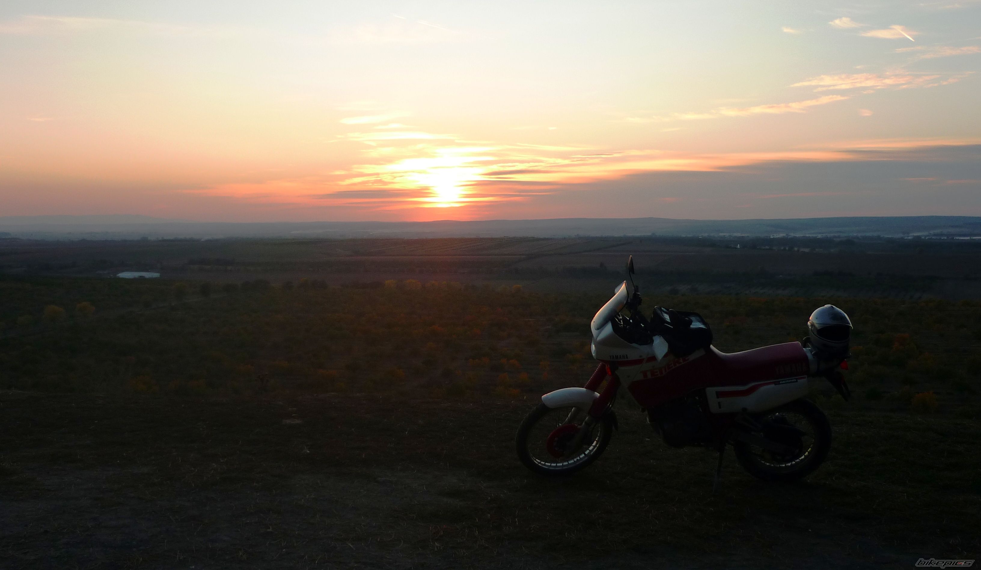 Bike Photo 1963708