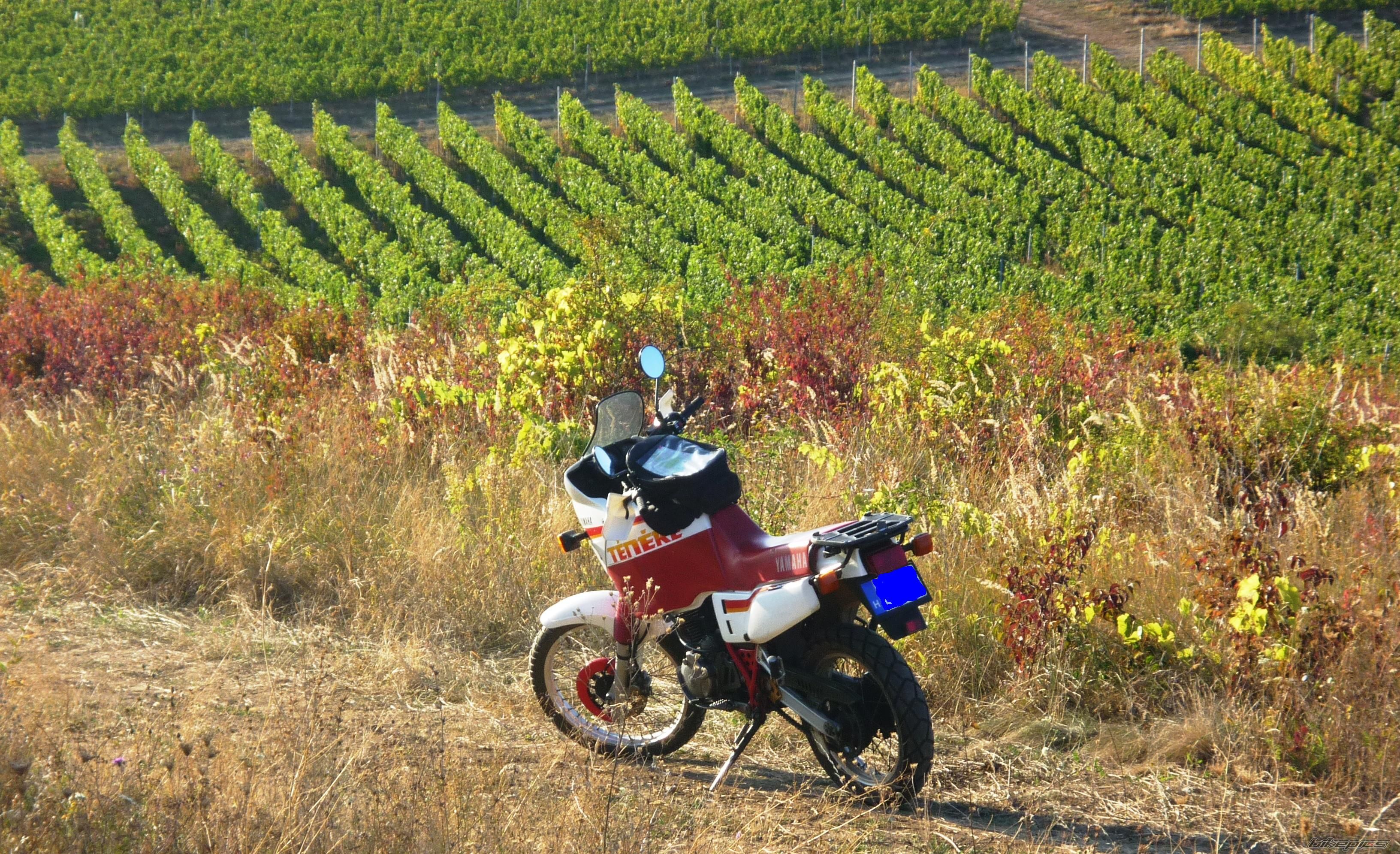 Bike Photo 1963711